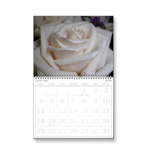 Calendars