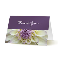 Thank You Cards