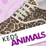 animal animal