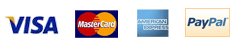 Visa Mastercard American Express PayPal
