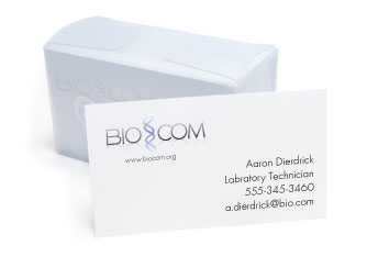 Marketing Materials Business Cards