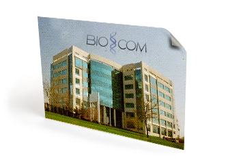 Full-Color Canvas Prints