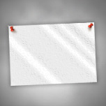 Canvas Prints