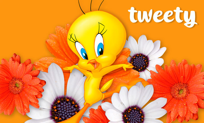 Tweety Bird Gifts on Zazzle