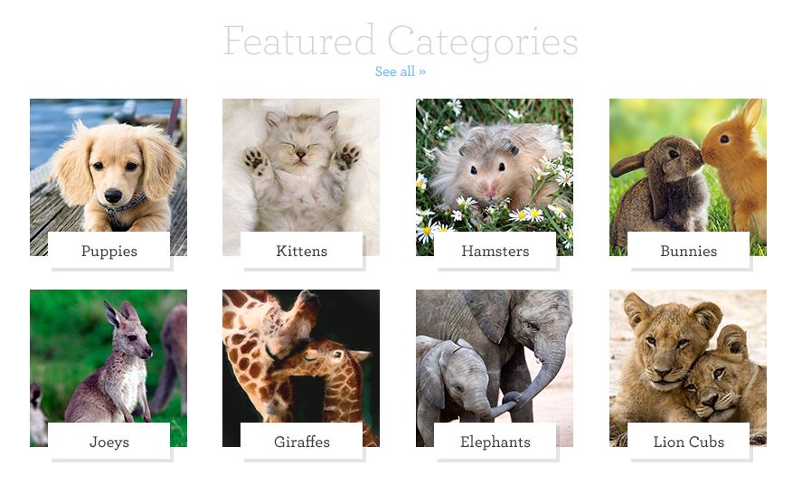 Store Category Sorting and Browsing – Zazzle Help Center