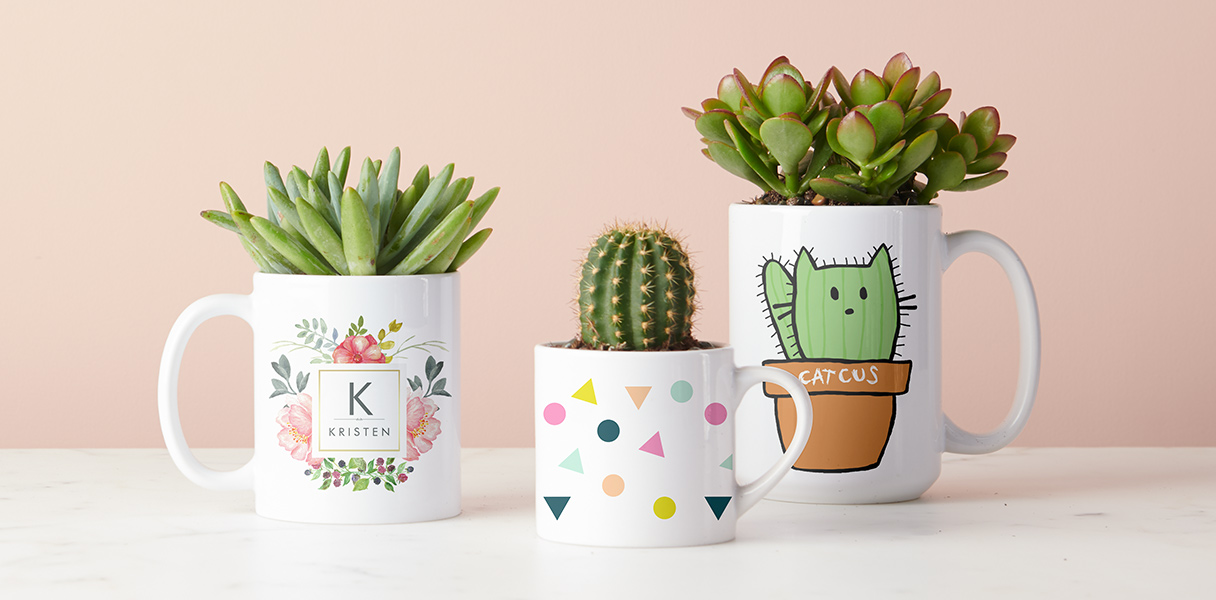 DIY: Succulent Mug Planter