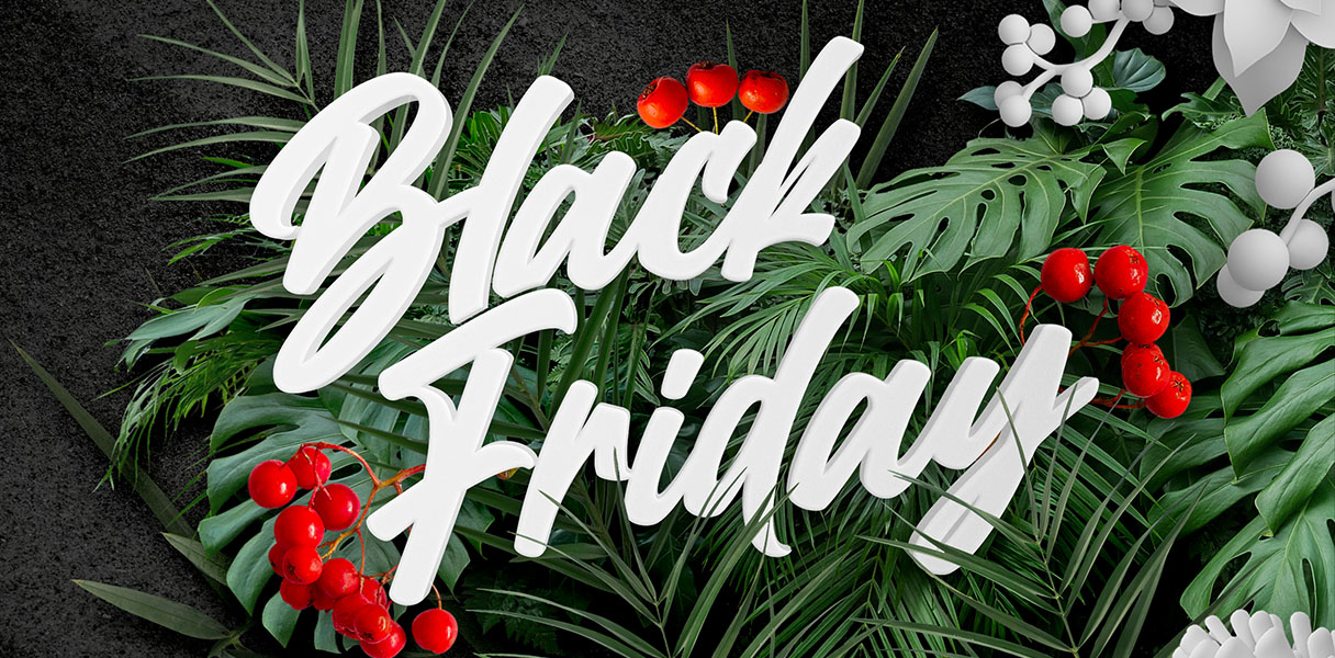 Up to 60% Off Black Friday!