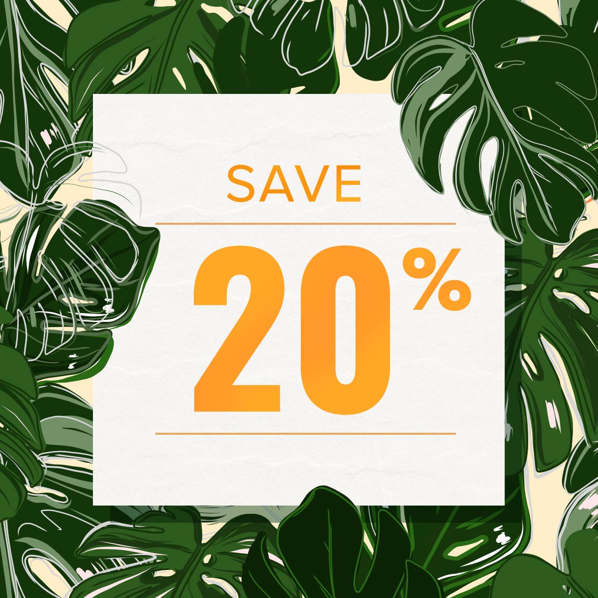 Save 20% Now