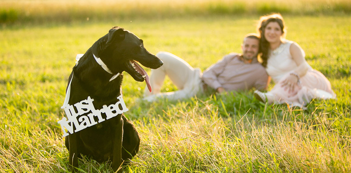 10 Unique Photos to Take on Your Wedding Day