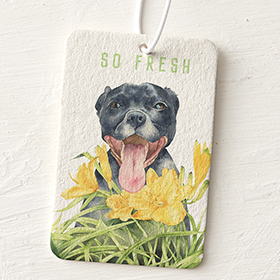 Air Fresheners