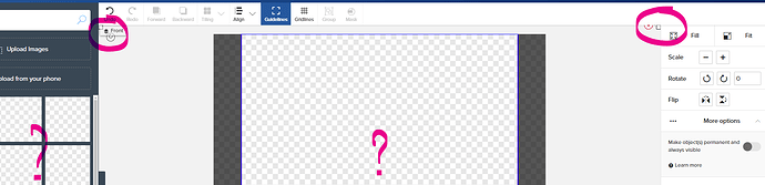 no_svg_visible.png
