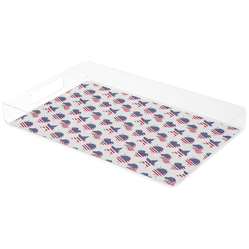 America a land of the free acrylic tray