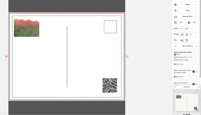 After I add the QR code in design area