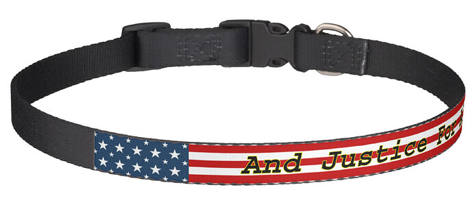 Collar.png