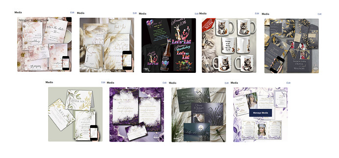 example of cover images .png