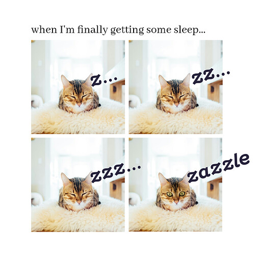 Zazzle Logo Meme Sleepy Cat Awakes.png