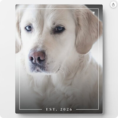 ColsCreations_2-1779844757496.png