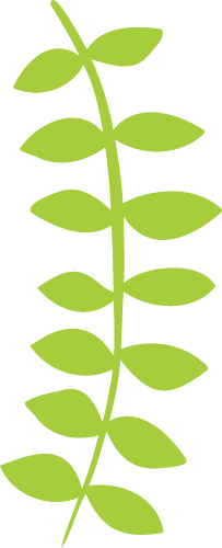 Floral 13.png