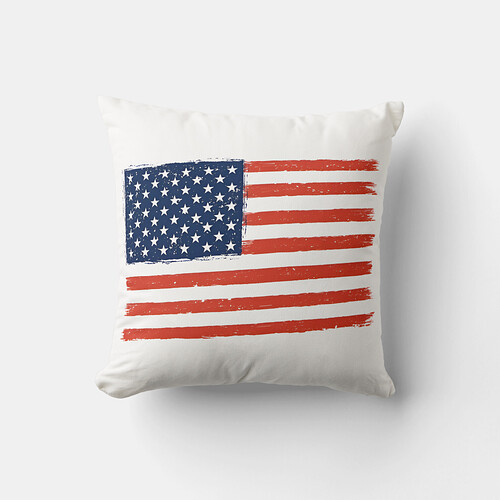 America a land of the free. Throw pillow.