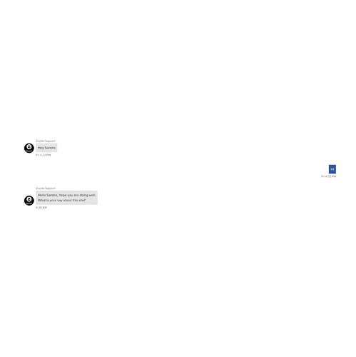 chatzazzlesupportspam.PNG