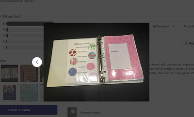 Sara_H_0-1736347163541.png