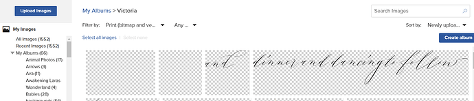 SVG file appears blank