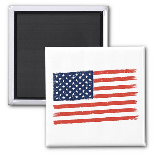 America a land of the free magnet