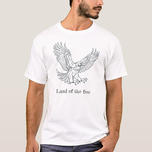 America a Land of the free. Eagle. Tshirt