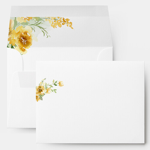 envelope incorrect in-situ image.png