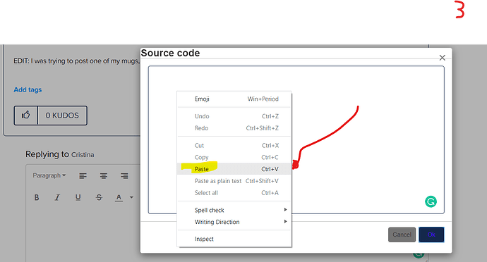 3. Paste your code into the BOX that appears