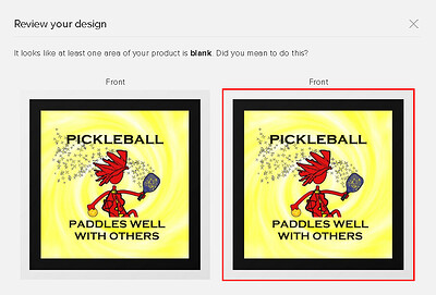 Picklleball troubleshoot on z.png