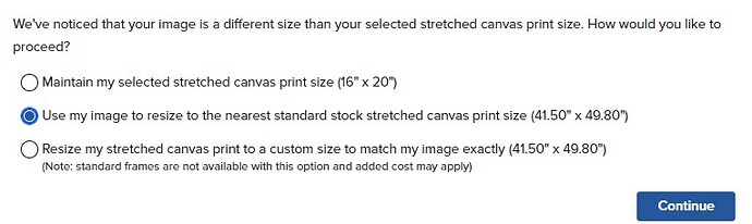 canvas sizes.jpg