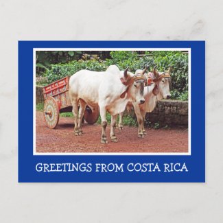 GREETINGS FROM COSTA RICA/OXCART AND OXEN