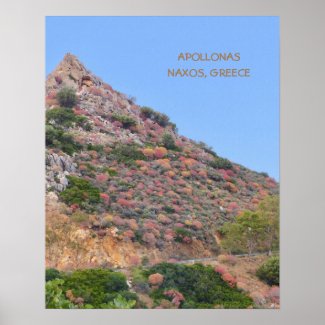 Naxos, Greece/ Colorful Vegetation On Mountainside