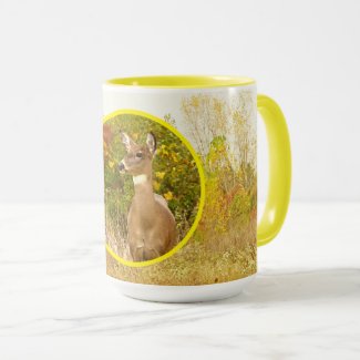 DEER IN FIELD WITH FALL COLOR/LEMON YELLOW