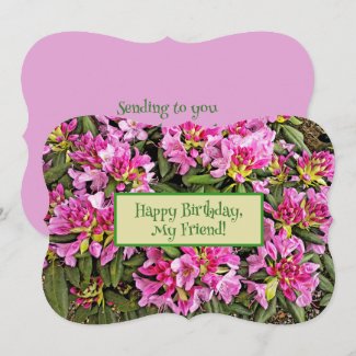 Pink Floral