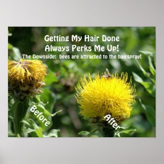 Poster, Humor,