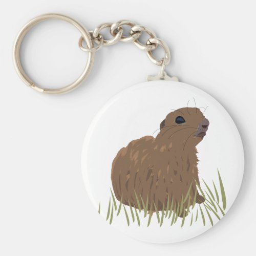 squirrel_animal_keychain-rd03cf6d13b61463a9aa524ec6705c61d_x7j3z_8byvr_1024.jpg squirrel_animal_keychain-rd03cf6d13b61463a9aa524ec6705c61d_x7j3z_8byvr_1024.jpg