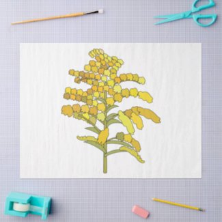 Goldenrod Solidago Flower Floral Plant Tissue Paper