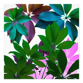 Green & Pink Leaves Professional Photo Paper