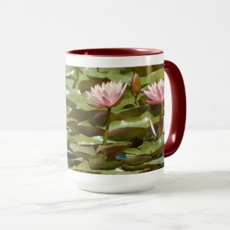PINK LOTUS BLOSSOMS