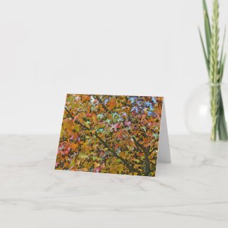 notecard/TREE WITH MULTI-COLORED/STAR-SHAPE LEAVES