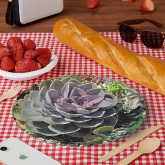 Succulent. Plants