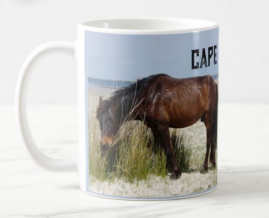 mug cape lookout.jpg mug cape lookout.jpg