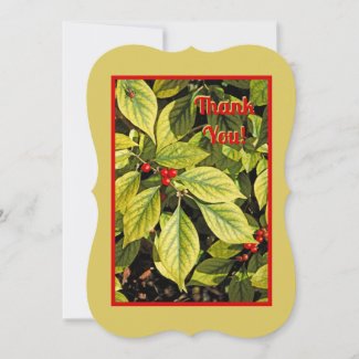 BRIGHT RED BERRIES ON CHARTREUSE-COLORED LEAVES