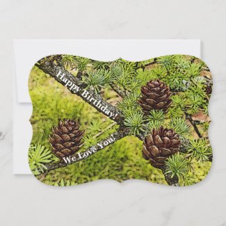 PINE CONES/EVERGREEN TREE/BIRTHDAY MESSAGE