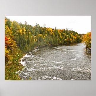 canvas gloss print/TAHQUAMENON RIVER/GOLD AND GREE