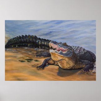 Alligator art. Face to Face