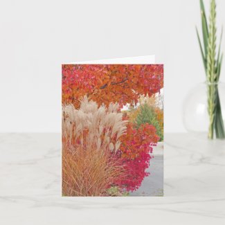 customizable card/YOU COLOR MY WORLD AND BRIGHTEN