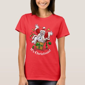 Funny Snowman It's Christmas! Big Surprise Cartoon